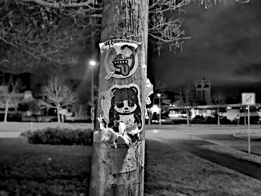 Your culture, not mine